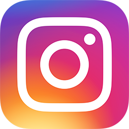 Instagram logo Icon